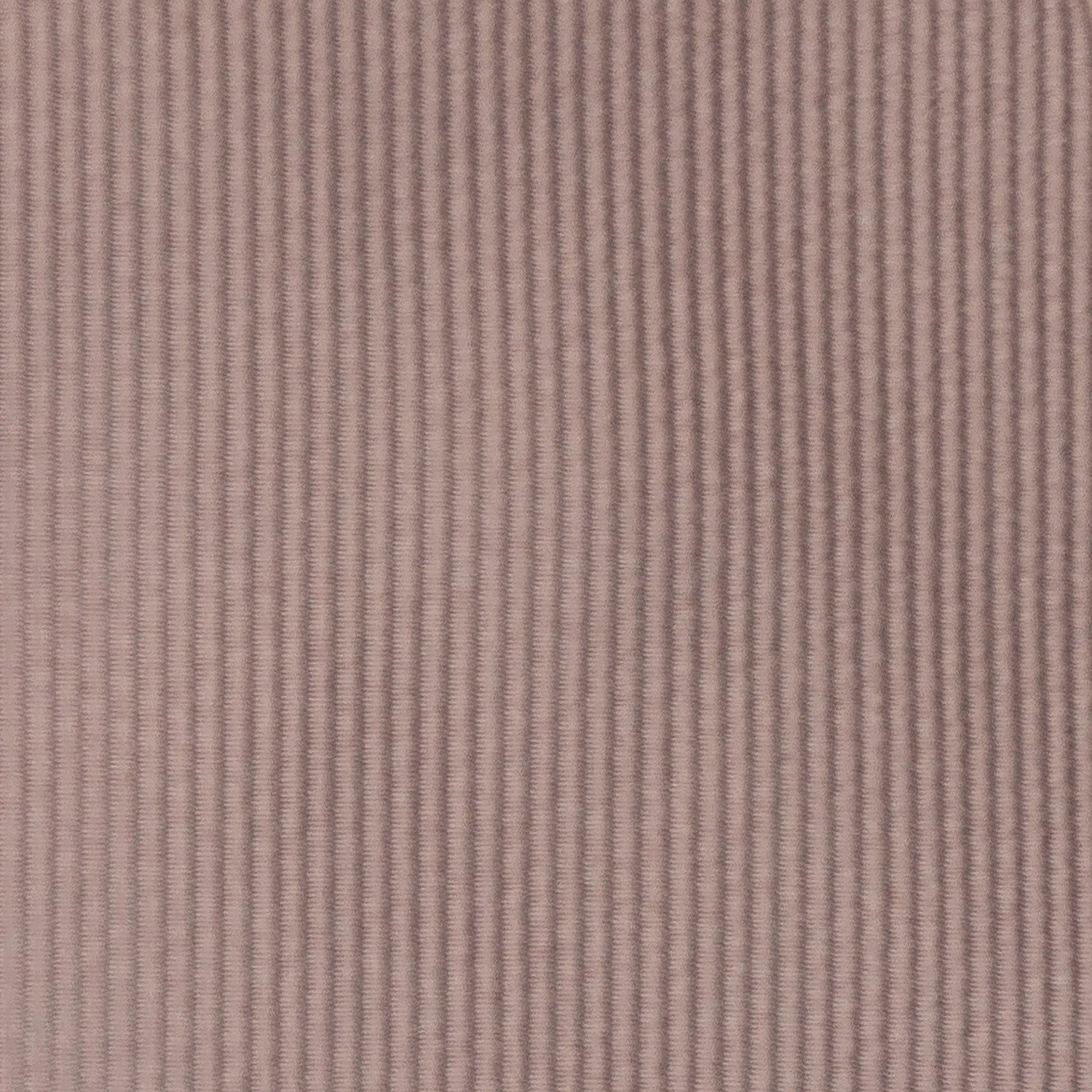 Champagne Bubbly Corded Weave Necktie with a White Pocket Square with Champagne Bubbly Trim