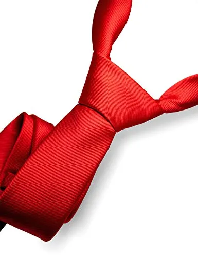 Red Silk Neck Tie